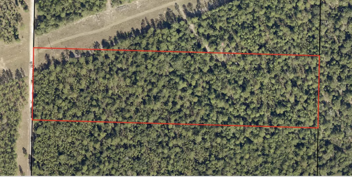 Holt, FL 32564,11768 Wildlife Road