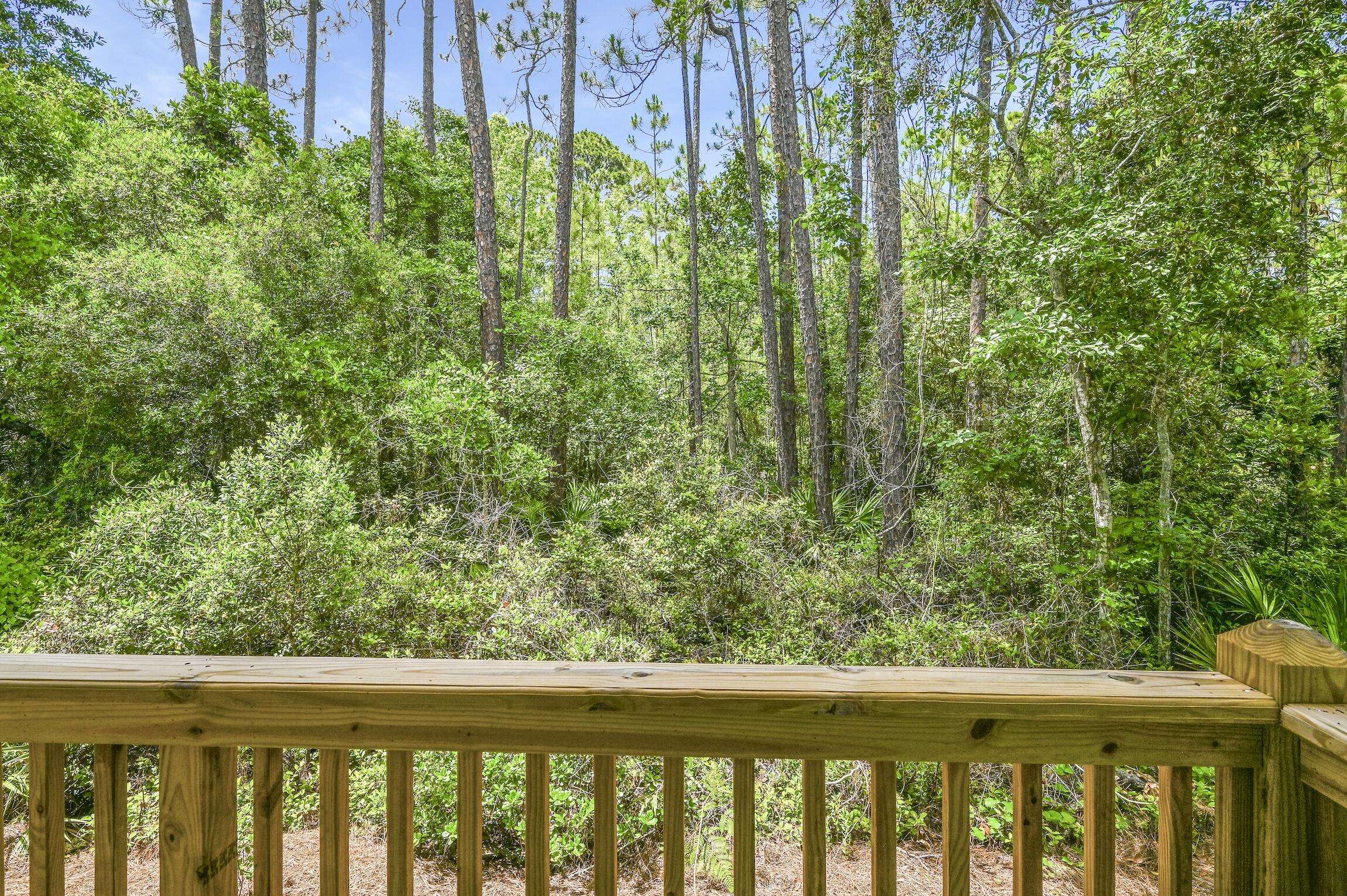 Santa Rosa Beach, FL 32459,70 Sandhill Pines Drive