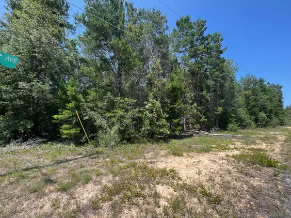 Defuniak Springs, FL 32433,lot 23-25 E Crocus Avenue