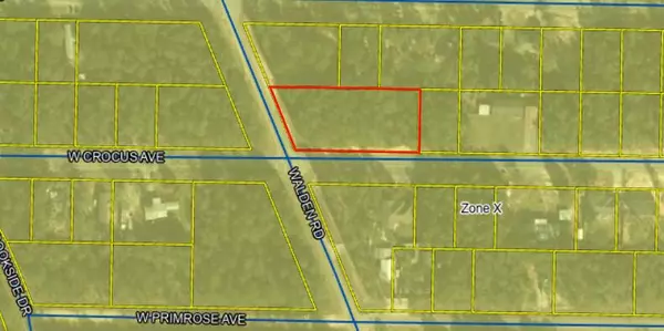 Defuniak Springs, FL 32433,lot 23-25 E Crocus Avenue