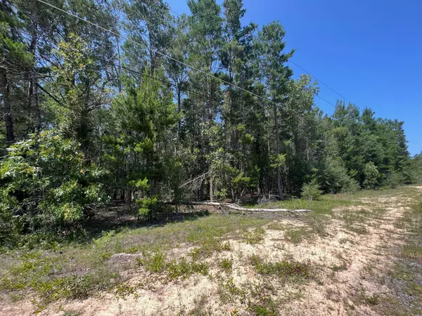 Defuniak Springs, FL 32433,lot 23-25 E Crocus Avenue