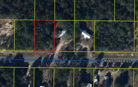 Defuniak Springs, FL 32433,lot 46 Windflower Street