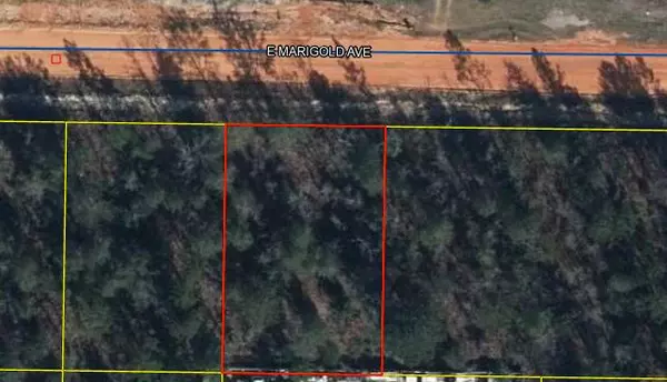 Defuniak Springs, FL 32433,lot 5 Marigold Avenue