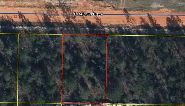 lot 5 Marigold Avenue, Defuniak Springs, FL 32433