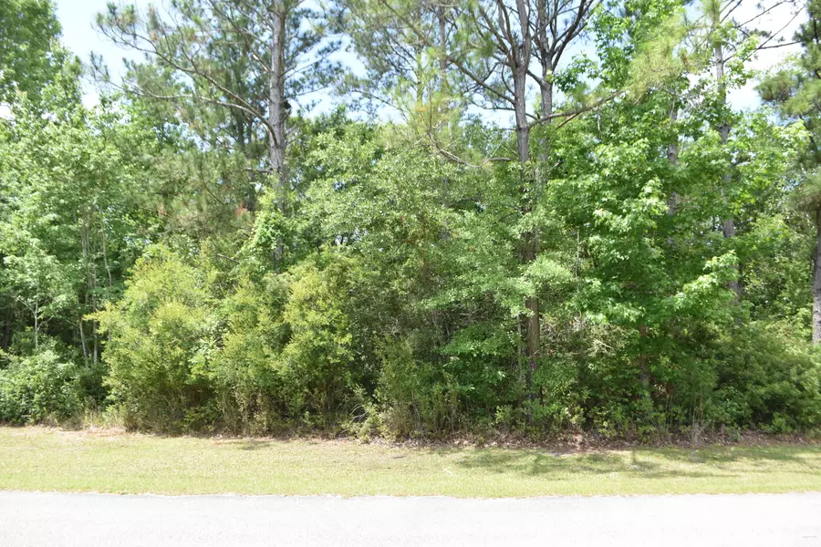 Lot 69 Harbour Trace, Freeport, FL 32439