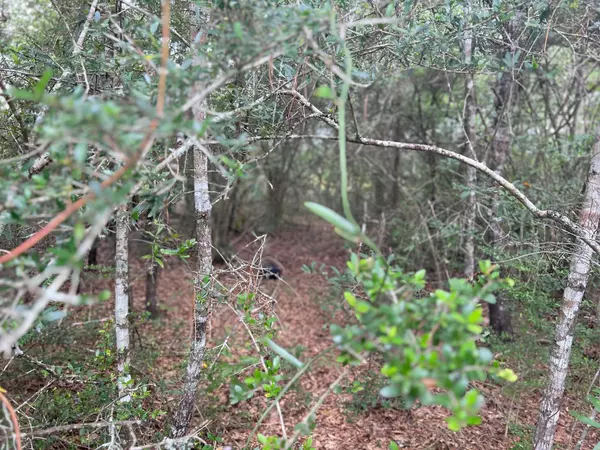 Defuniak Springs, FL 32433,Lot 9 W Violet Lane