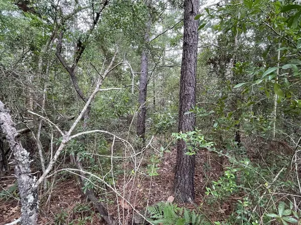 Defuniak Springs, FL 32433,Lot 20 Walnut Drive