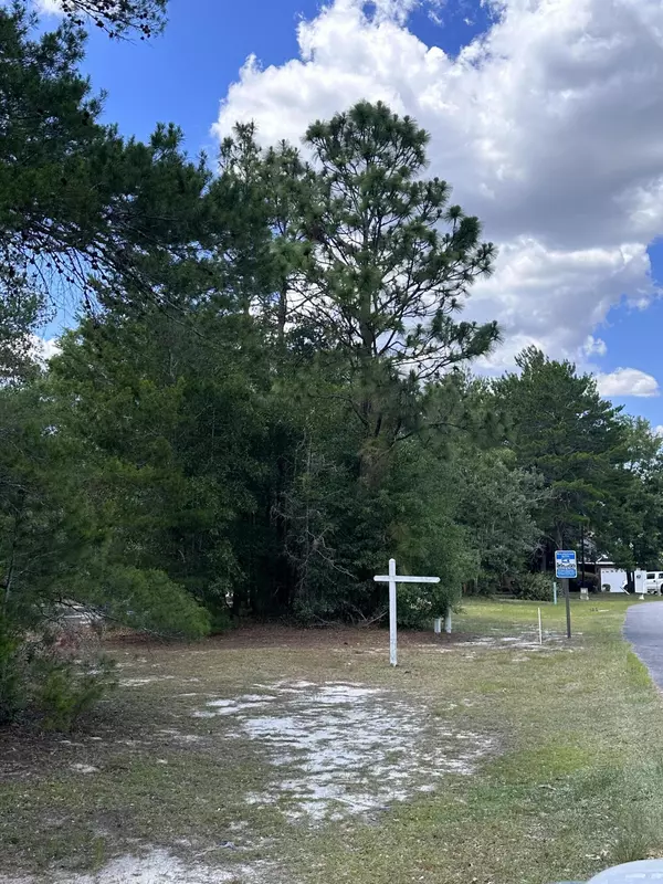 Defuniak Springs, FL 32435,LOT 12 MAGNOLIA LAKE Drive