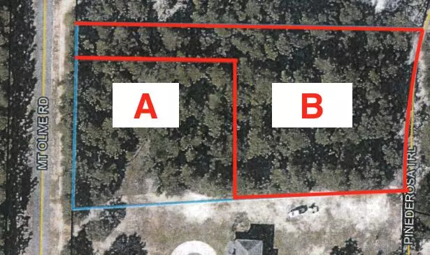 Parcel B Mt Olive Road, Crestview, FL 32539