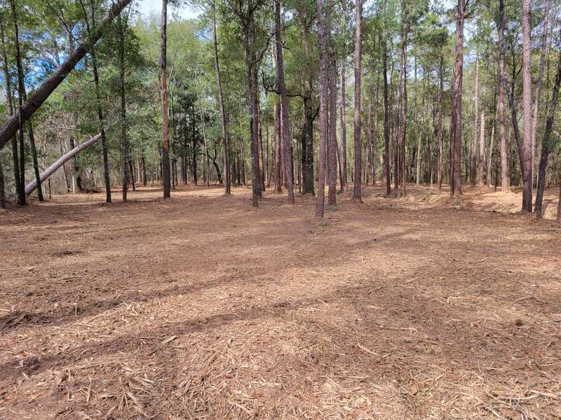 14+/- Ac Gartman Road, Laurel Hill, FL 32567