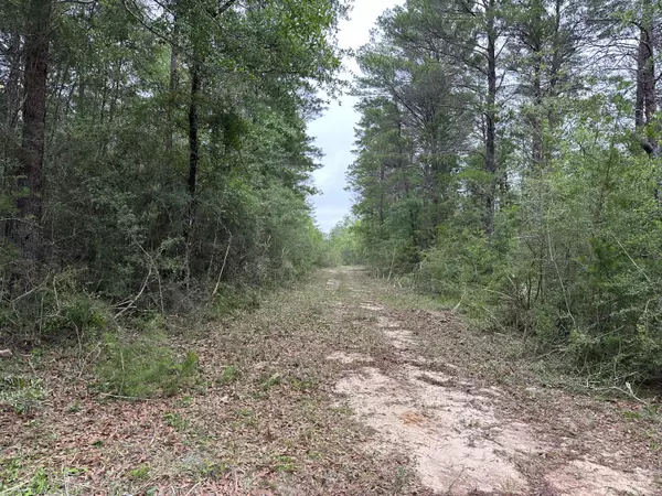 Crestview, FL 32539,Parcel A Bear Lake Road