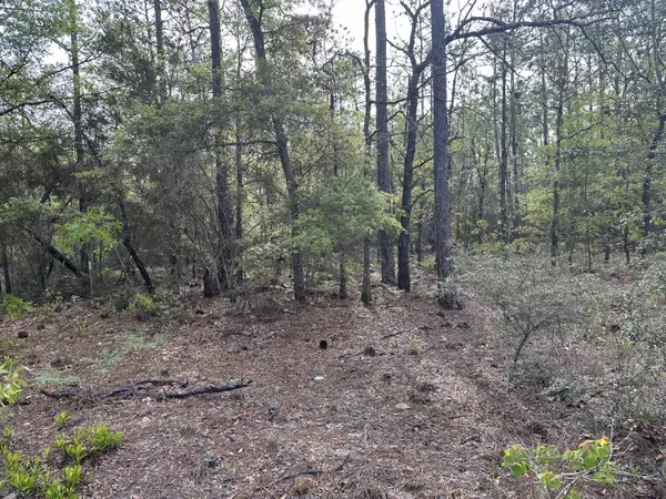 Crestview, FL 32539,Parcel A Bear Lake Road