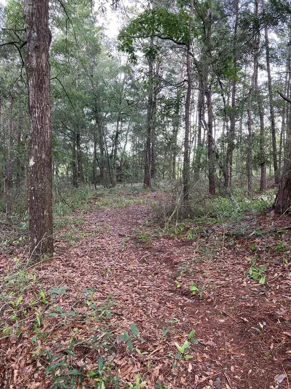 Lot 5 Cowslip Ct., Defuniak Springs, FL 32433