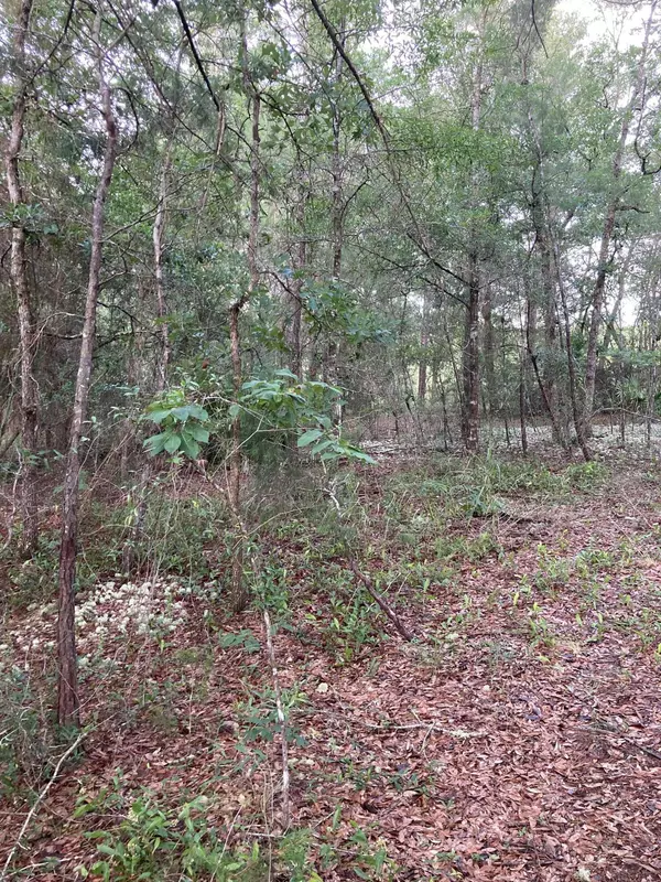 Defuniak Springs, FL 32433,Lot 5 Cowslip Ct.