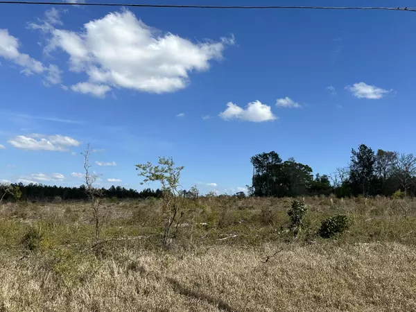 Caryville, FL 32427,Tract#6409 E River Road