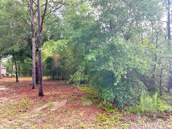 Defuniak Springs, FL 32433,Lot 40 E Crocus Avenue