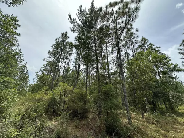 Milton, FL 32570,Parcel A Wildlife Road