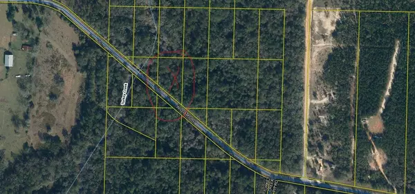 xx WILLIAMS Road, Defuniak Springs, FL 32433