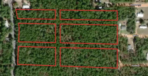 Defuniak Springs, FL 32433,Lots XXXXX Watson Road
