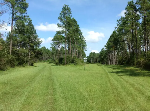 Bonifay, FL 32425,61 Red Oak Road