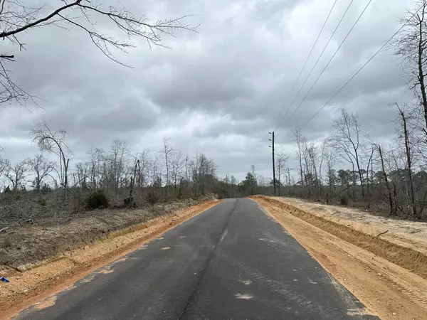 Bonifay, FL 32425,Tract#6408 N Douglas Ferry Road