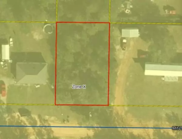 Defuniak Springs, FL 32433,Lot X Mint Street