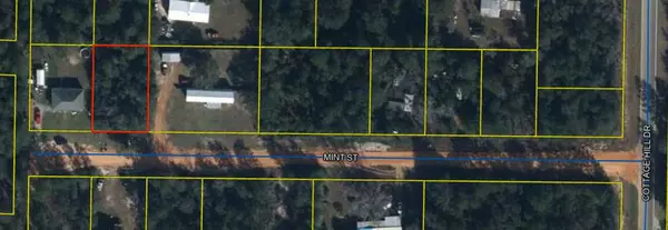 Defuniak Springs, FL 32433,Lot X Mint Street