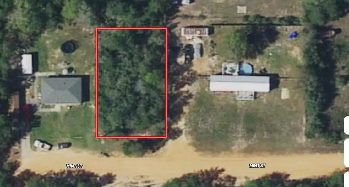 Defuniak Springs, FL 32433,Lot X Mint Street