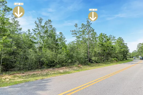 Defuniak Springs, FL 32433,000 E Donatello Road  #LOT 41