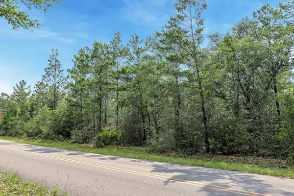 Defuniak Springs, FL 32433,000 E Donatello Road  #LOT 41