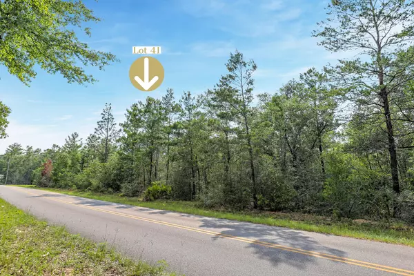 Defuniak Springs, FL 32433,000 E Donatello Road  #LOT 41