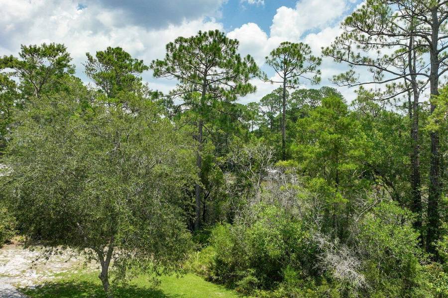 Lot 10 Laurel Oak Lane, Santa Rosa Beach, FL 32459