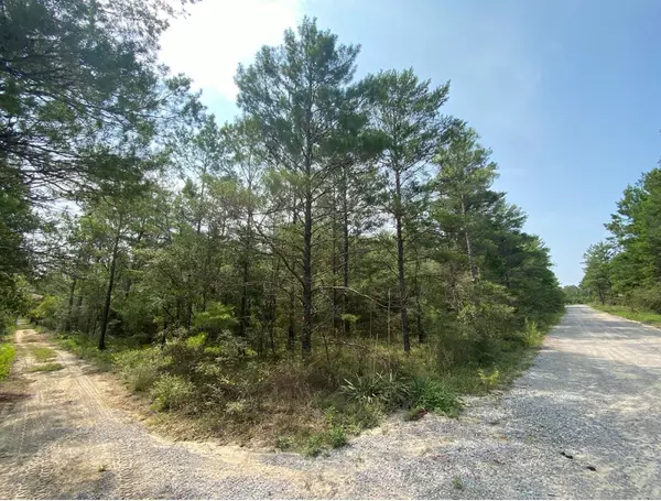 Defuniak Springs, FL 32433,LOTS 23,24 & 25