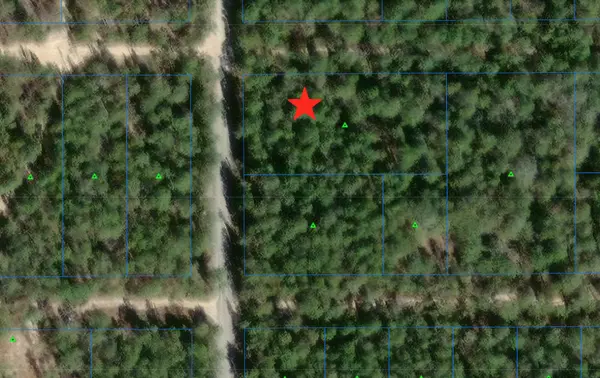 Defuniak Springs, FL 32433,LOTS 23,24 & 25