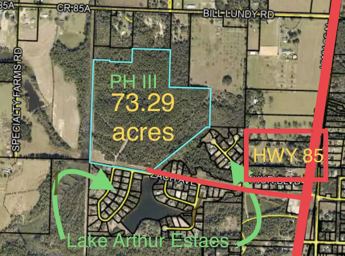 Crestview, FL 32536,73 ACRES Zach Avenue