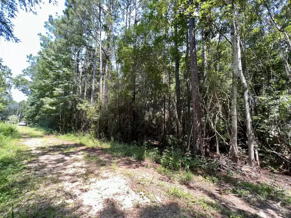 Freeport, FL 32439,1 Acre Co Hwy 3280