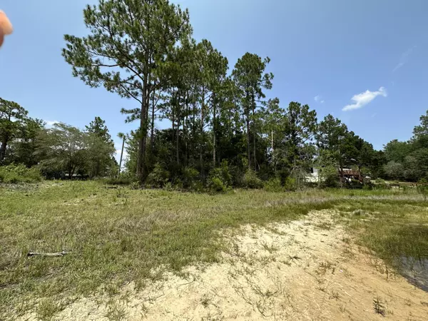 Defuniak Springs, FL 32433,0 Violet Lane