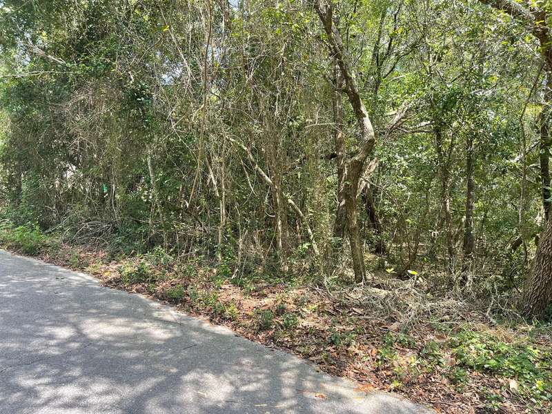 TBD Darrell Court, Freeport, FL 32439