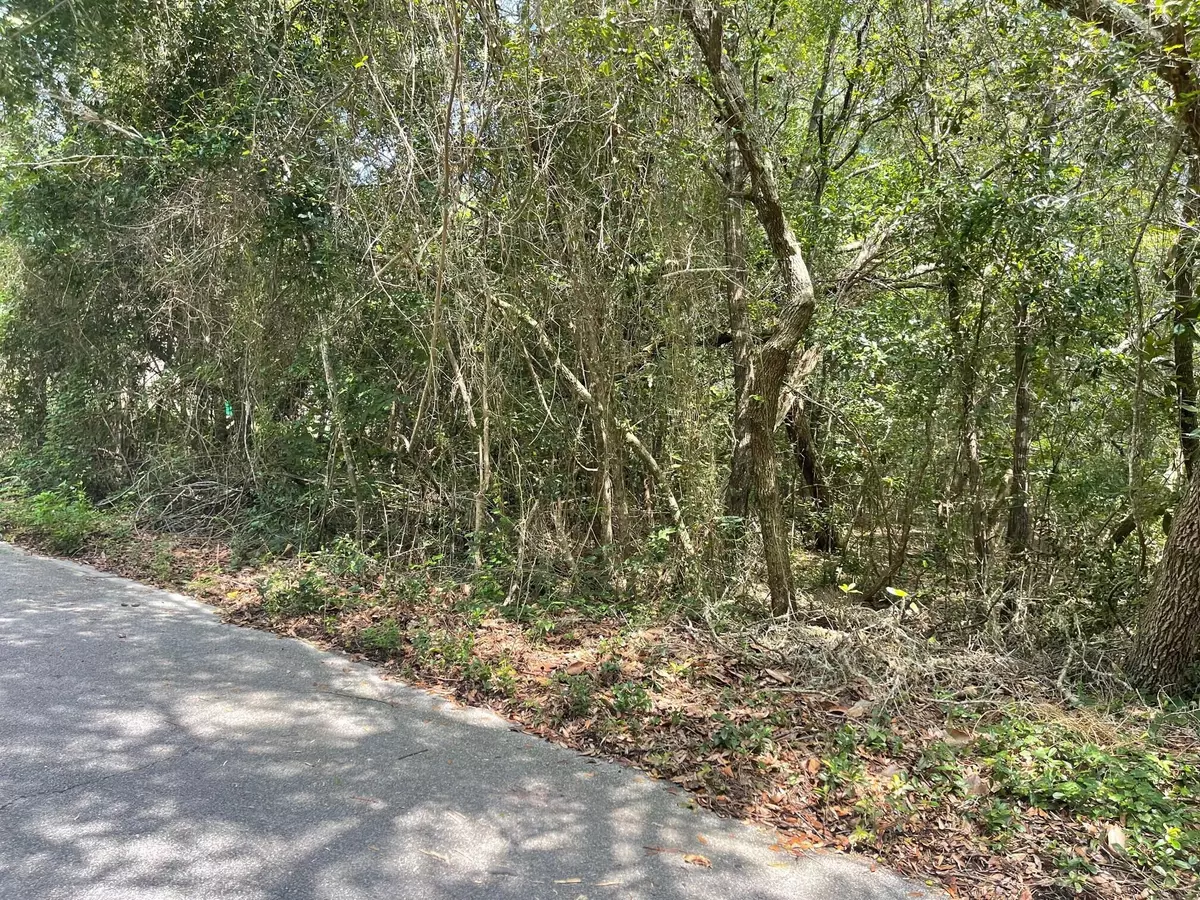 Freeport, FL 32439,TBD Darrell Court