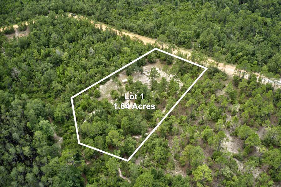 8.74 Acres Adams Drive, Alford, FL 32420