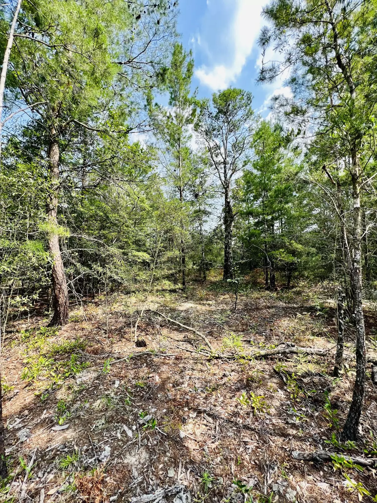 Defuniak Springs, FL 32433,Lot 9 Cowslip Court