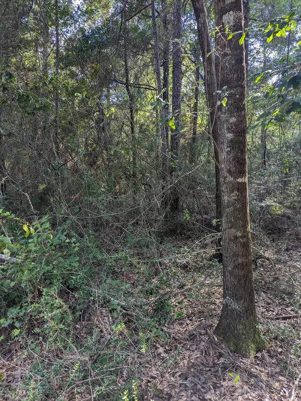 Crestview, FL 32536,3.44 ac Cricket Lane