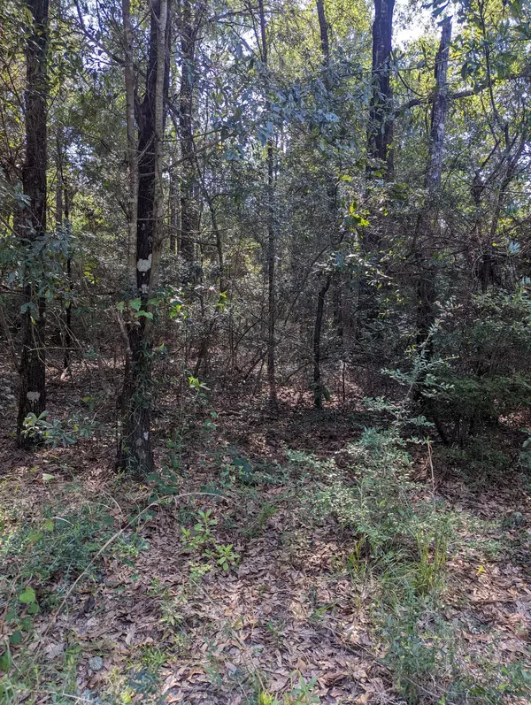 Crestview, FL 32536,3.44 ac Cricket Lane