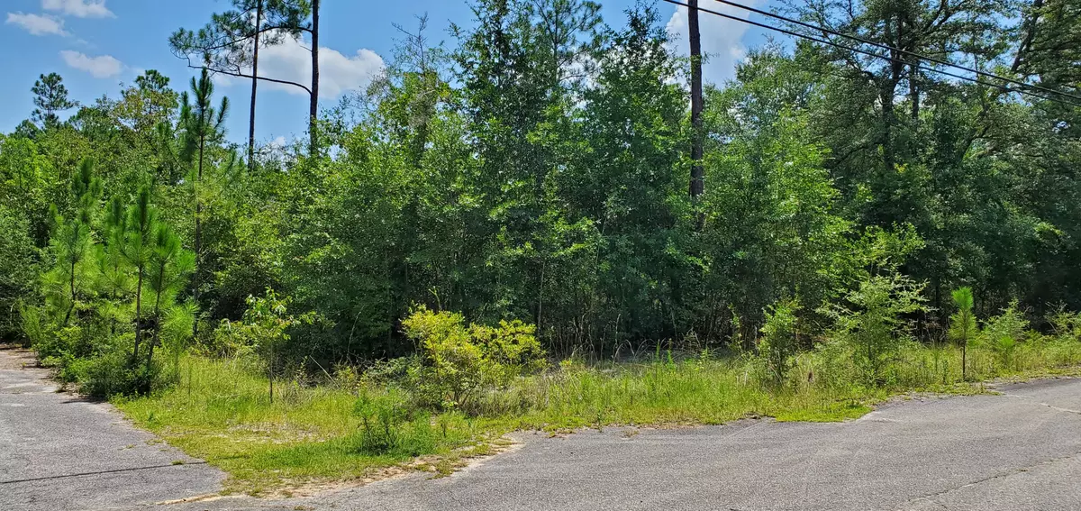 Crestview, FL 32539,4.25 acre Main Drive