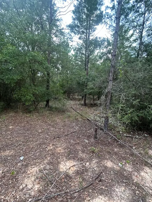 Defuniak Springs, FL 32433,Lot XX Clover Lane