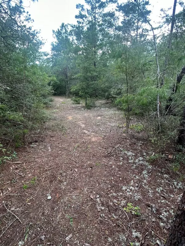 Defuniak Springs, FL 32433,Lot XX Clover Lane