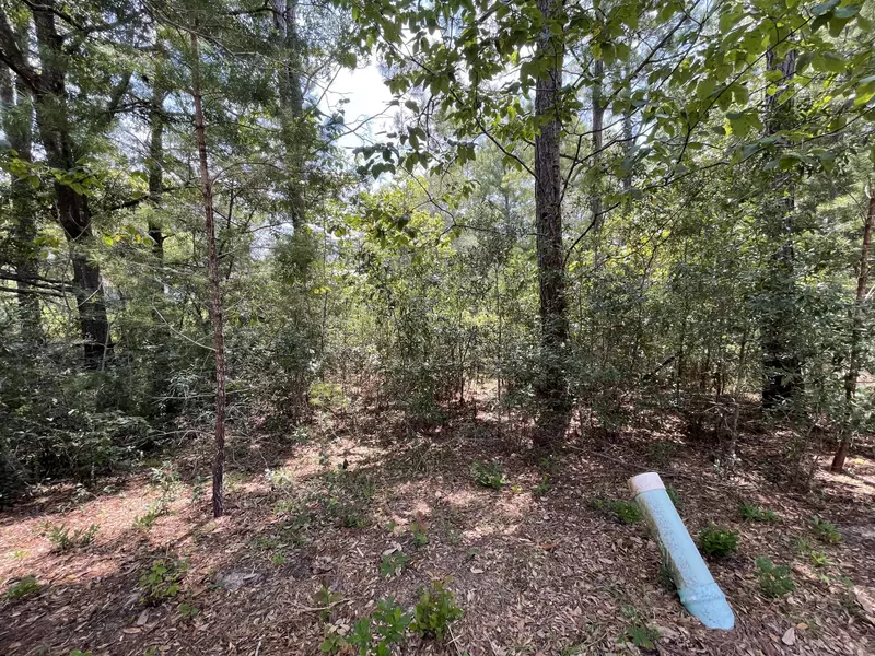 Lot 33 Grande Oaks on Caswell Branch Road, Freeport, FL 32439