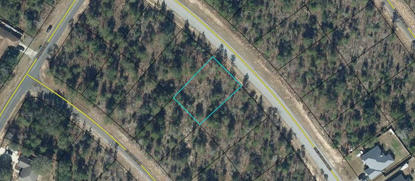 Lot 4 Shenandoah Boulevard, Chipley, FL 32428