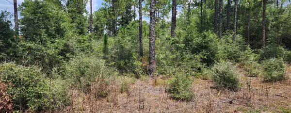 Defuniak Springs, FL 32433,xxx Caswell Road