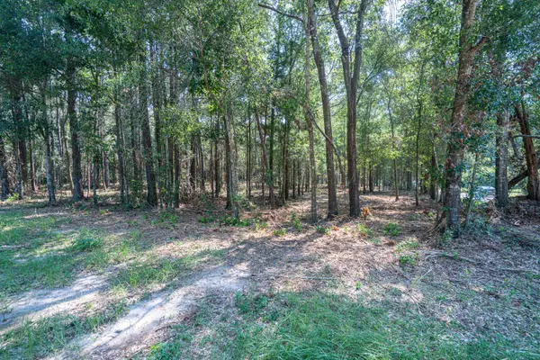 Laurel Hill, FL 32567,TBD 2nd Avenue